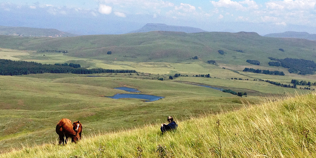 Von Vertrauen und Horsemanship: Meine Zeit mit den Wildpferden in Südafrika