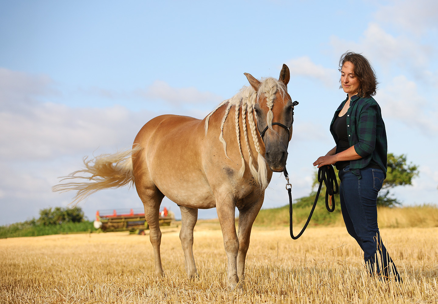 Thema Reiterphysiotherapie